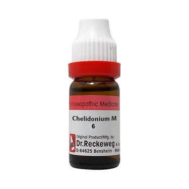 dr.-reckeweg-chelidonium-maj-dilutio
